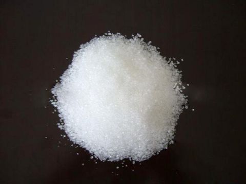 Arachidonic Acid